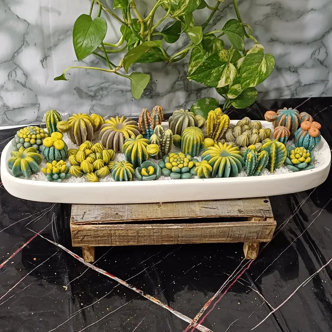 شات لنج بزرگ