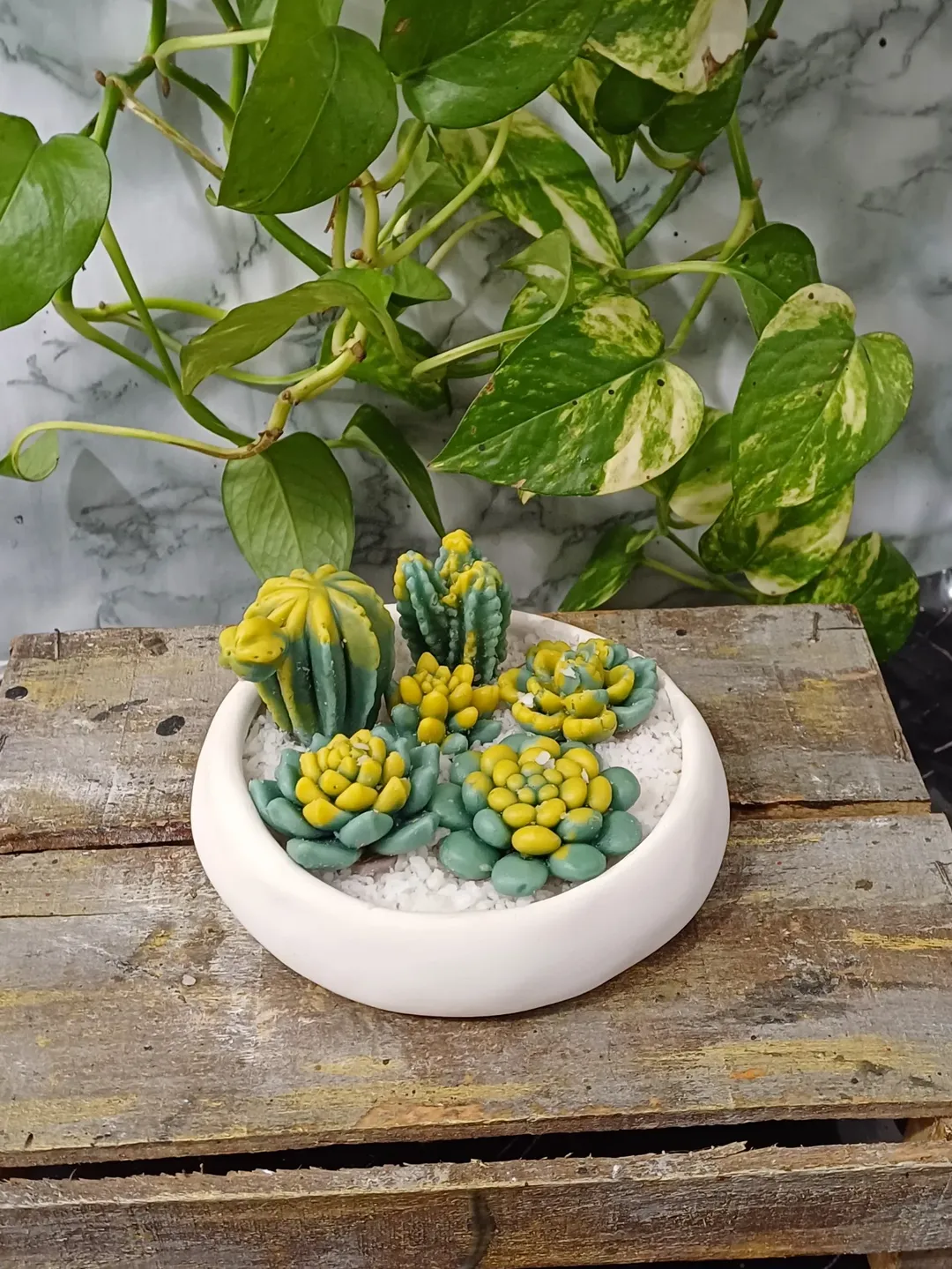 شلت دفزمه سایز ۳